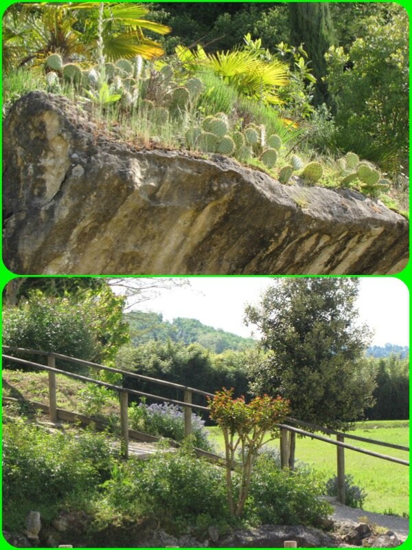 jardin5