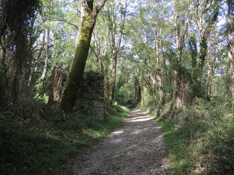 Hendaye, domaine d'Abbadia, sentier, début (64)