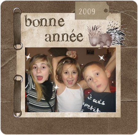 bonne_ann_e_2009_tri