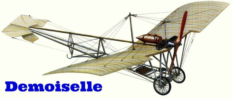demoiselle
