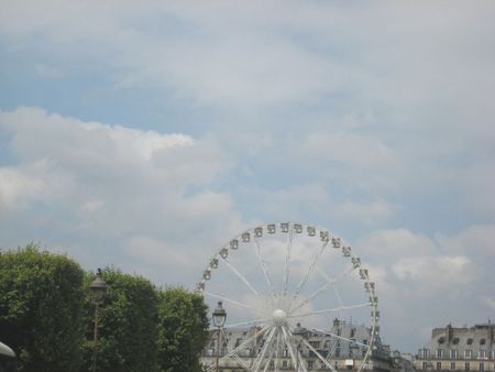 Photo 65991