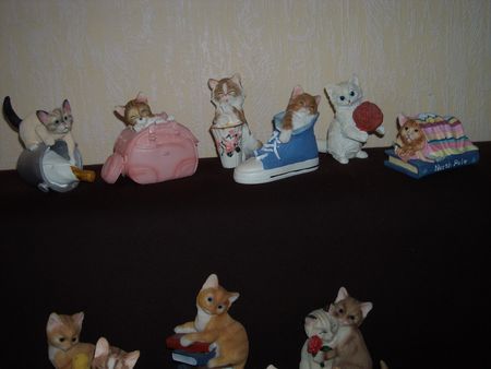 Collection_chatons_3