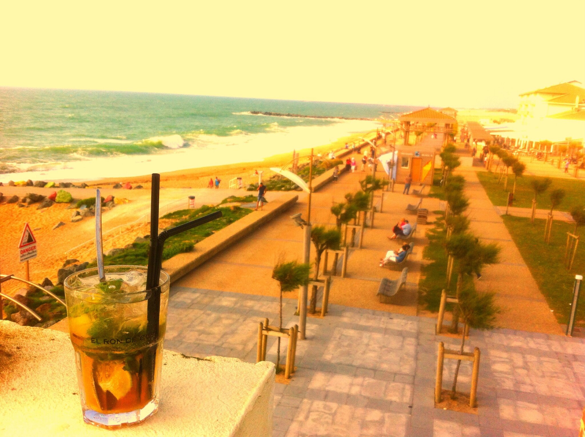 Anglet, Mojito scrutant la promenade (64)