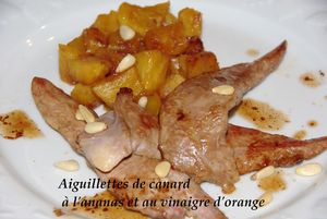 Aiguillettes_de_canard