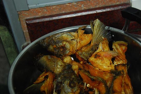 poissons_frits