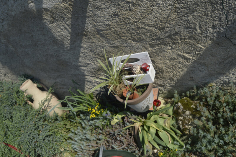 _DSC0056