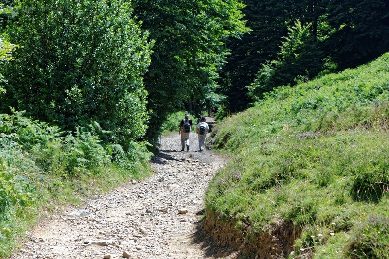 IMG_2014_07_31_4453_DxO_redimensionner