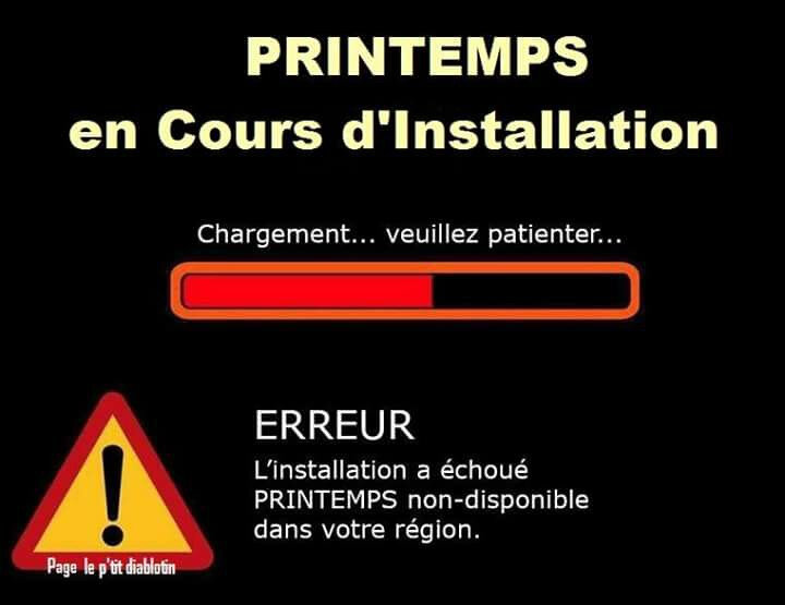 Printemps-en-cours-d-installation