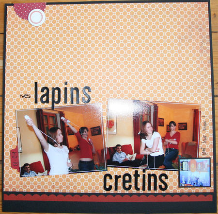 lapins_cr_tins