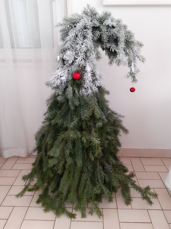 Sapin gnome (3)