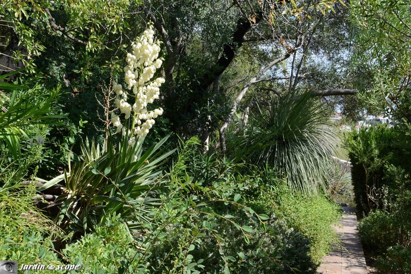 Parc Saint-Bernard à Hyères