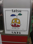 tatsu