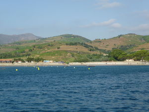 P1020679