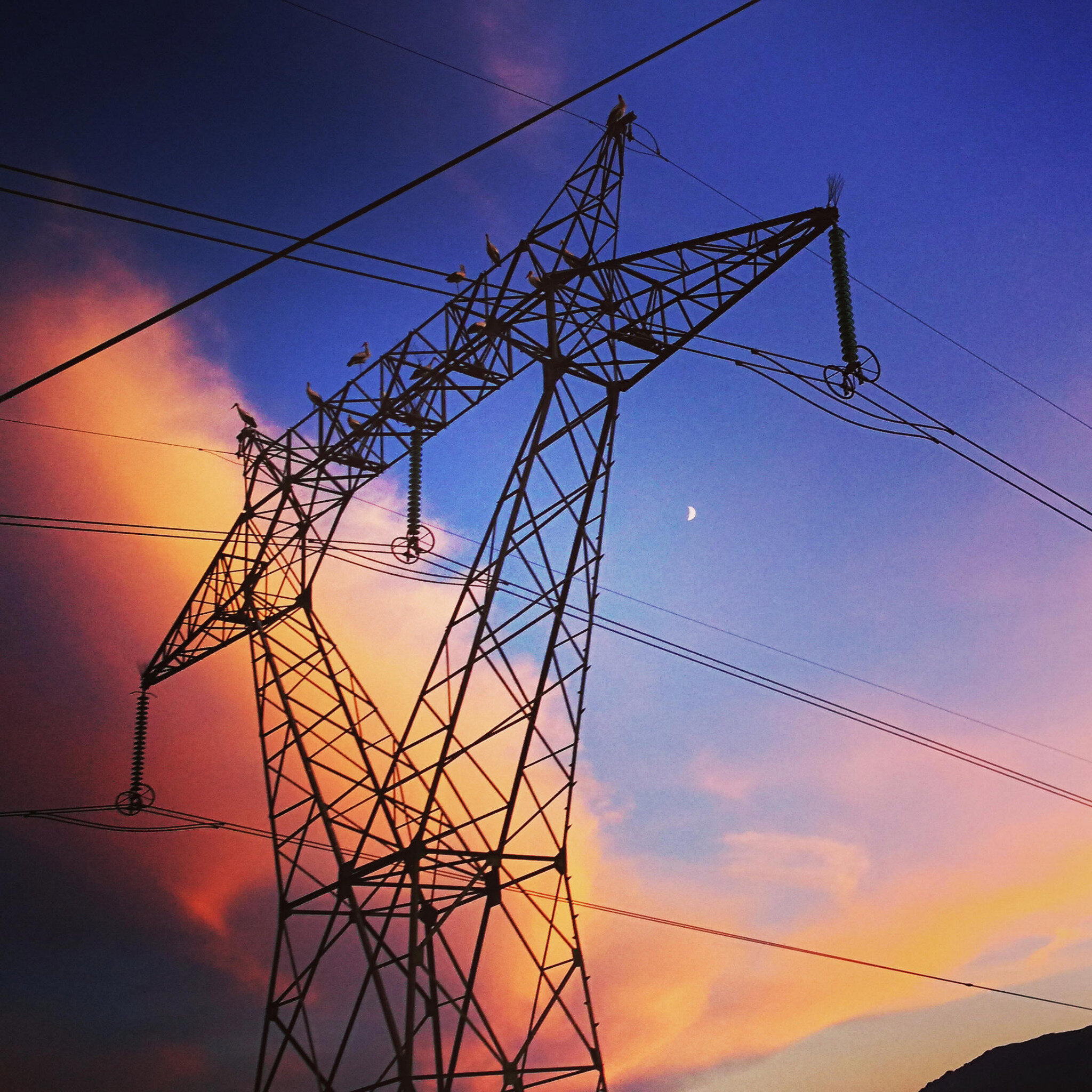 Ahztze, cigognes électriques et vent du sud, insta (64)