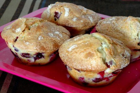 DSC_7826_Brioche_express_fruits_rouges