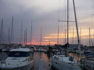 P1020705