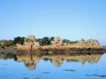 Île de Bréhat, grève de Gardeno, couleurs (22)