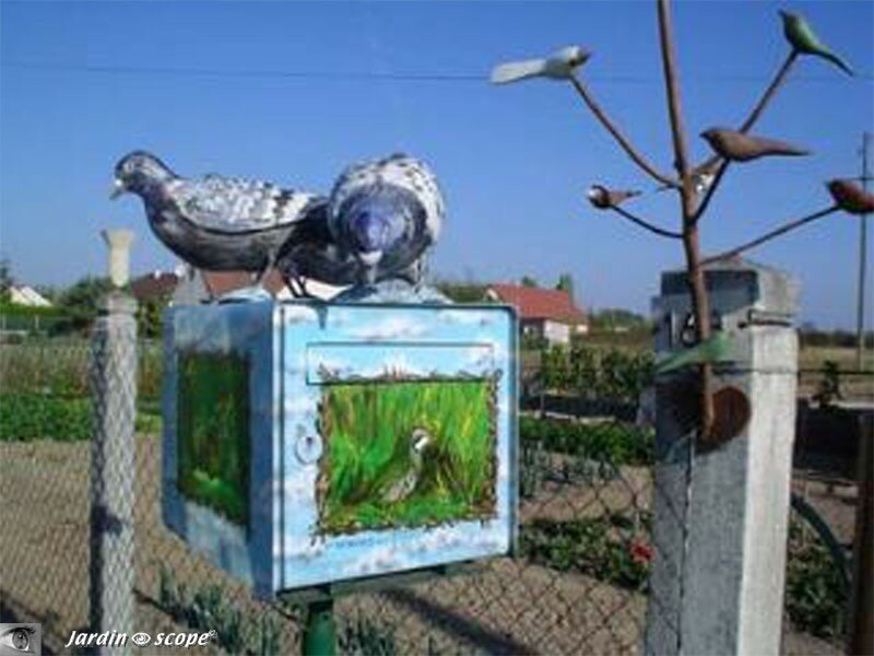 Boite aux lettres aux pigeons