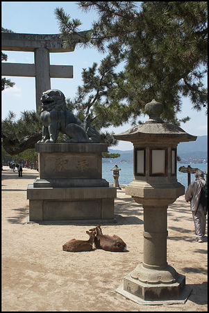 460_Entr_e_Miyagima