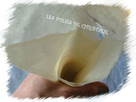 Pliage feuille de brick 10