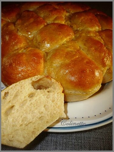 brioche butchy 03