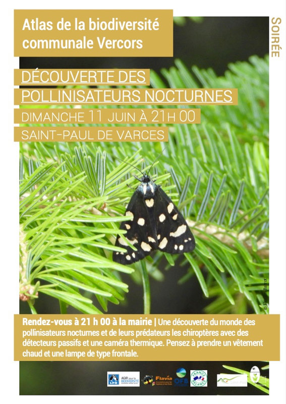DecouvertePollinisateursNocturnes