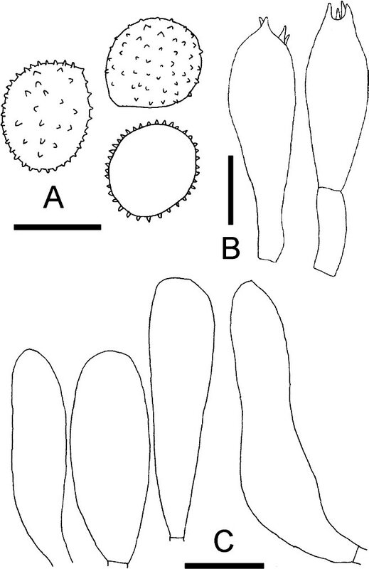 Fig 9