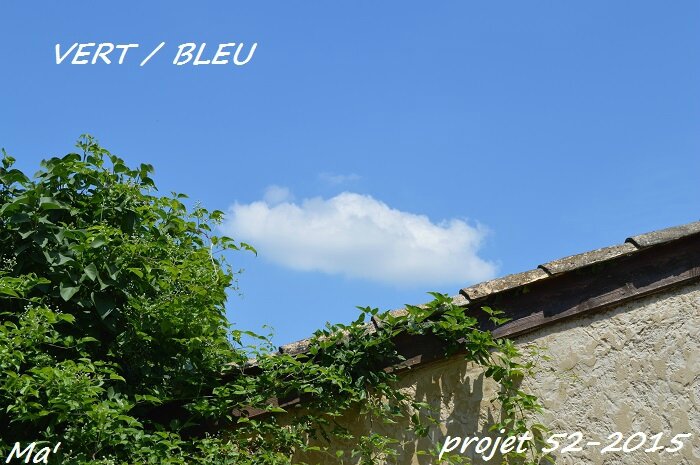 2015-52_S22_vert_bleu