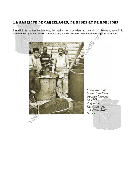 Livre-La fabrique de carrelages-moëllons-Iannone-Vie économique-page-001
