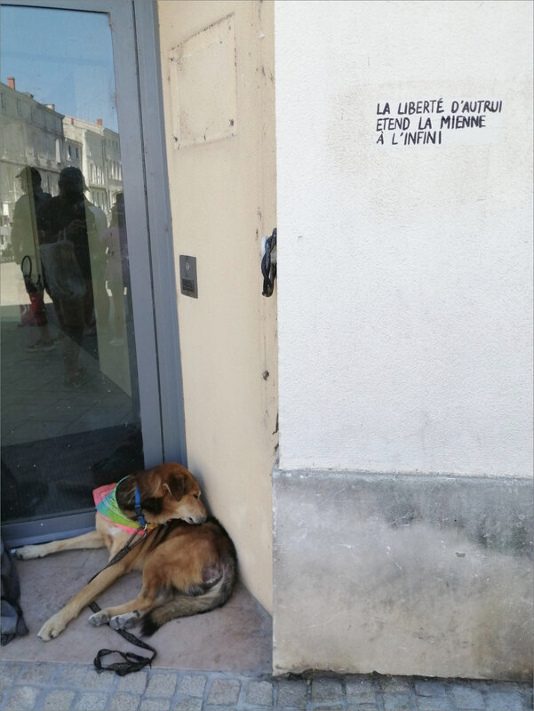 Graff chien liberté infini 060820