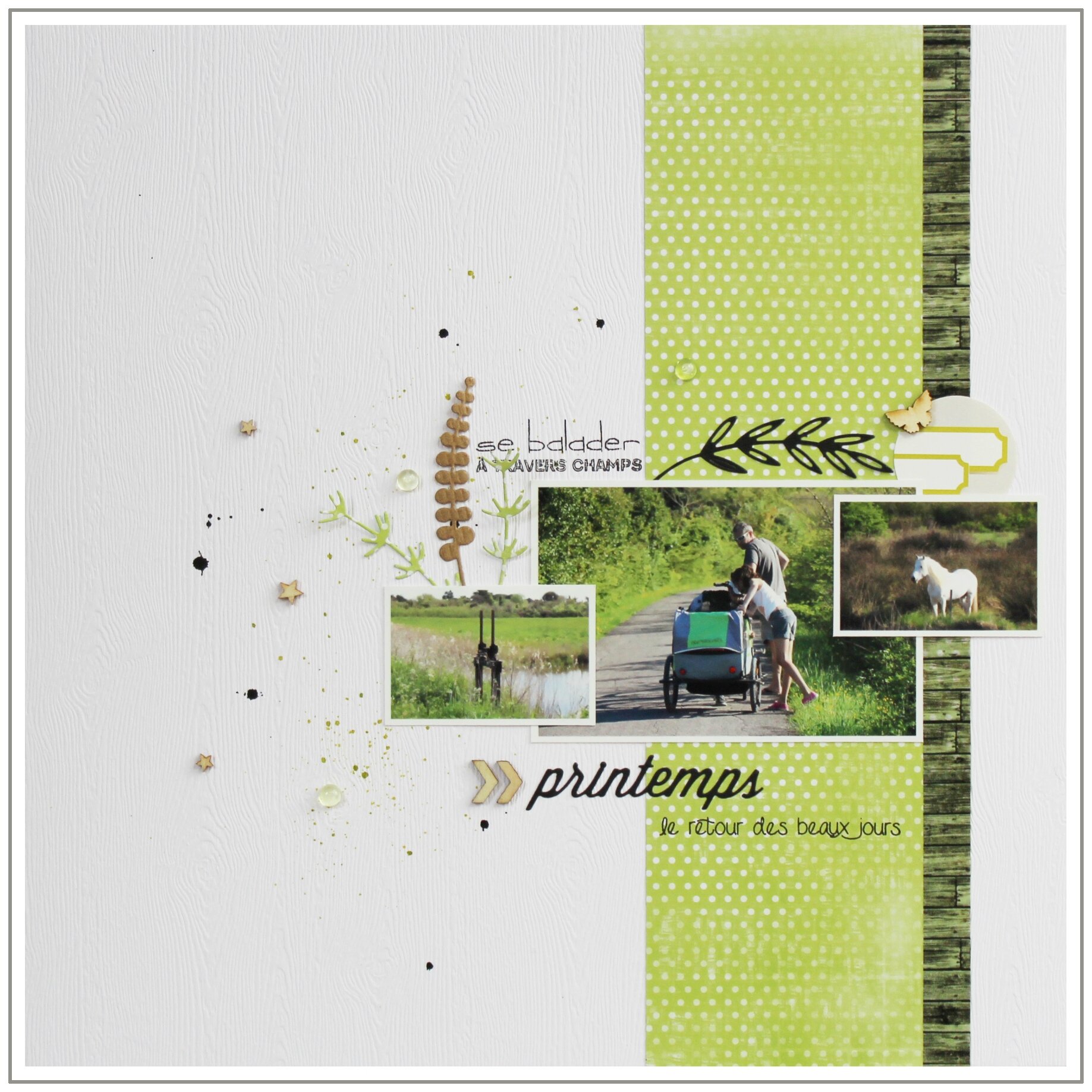 17 - 140515 - Printemps