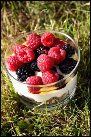 trifle mures framboises