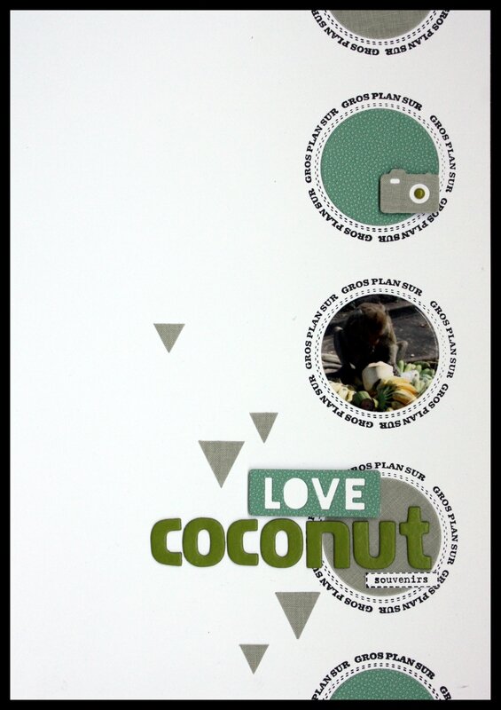 coconuts 1a