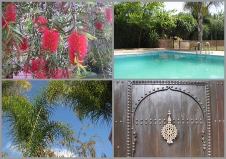 Jardin piscine