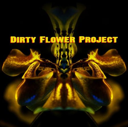 dirt_flower_project