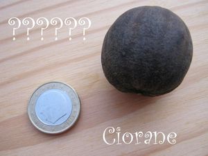 euro