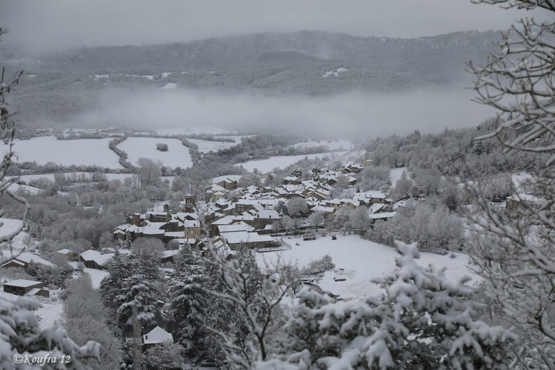 Photos JMP©Koufra 12 - Cornus - Neige - 28012019 - 0158