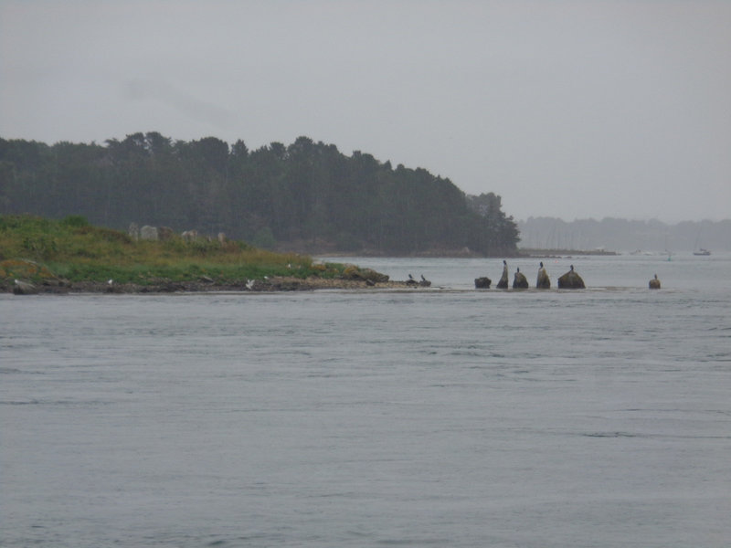 DSC08220