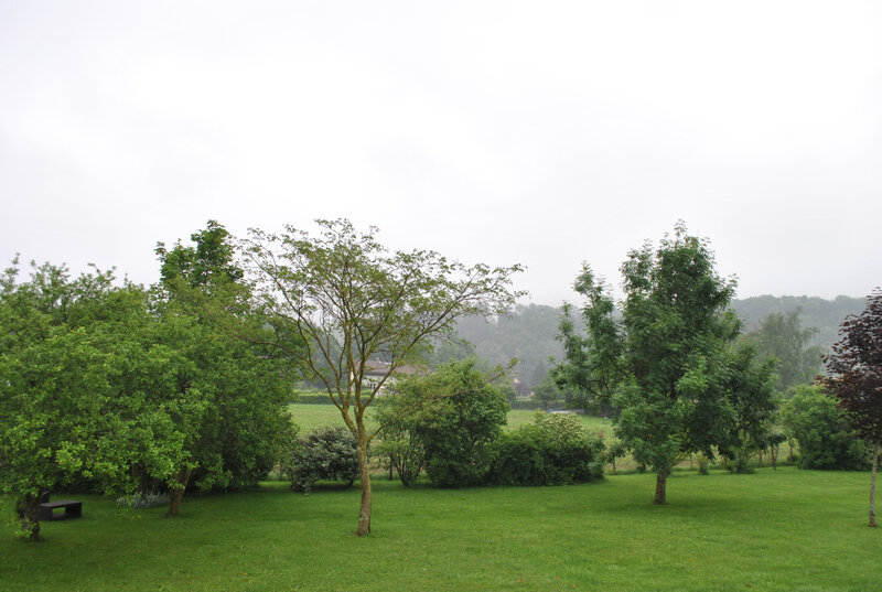 DSC_0003