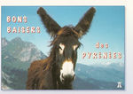 pyr_n_es_5