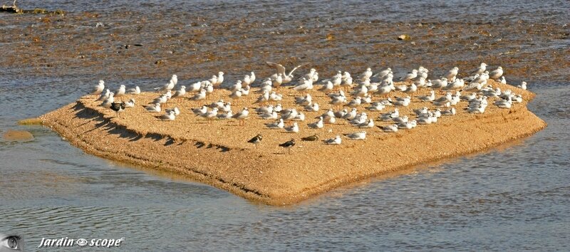 Cœur de Loire