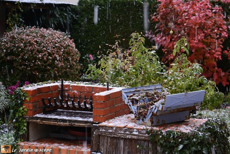 Neige début novembre 1