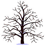 arbre 4 saisons