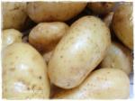 pommes de terre 029 (1)