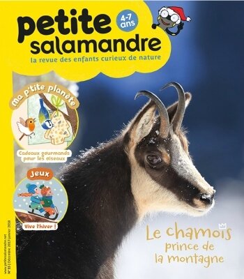 Petite Salamandre 15 (1)