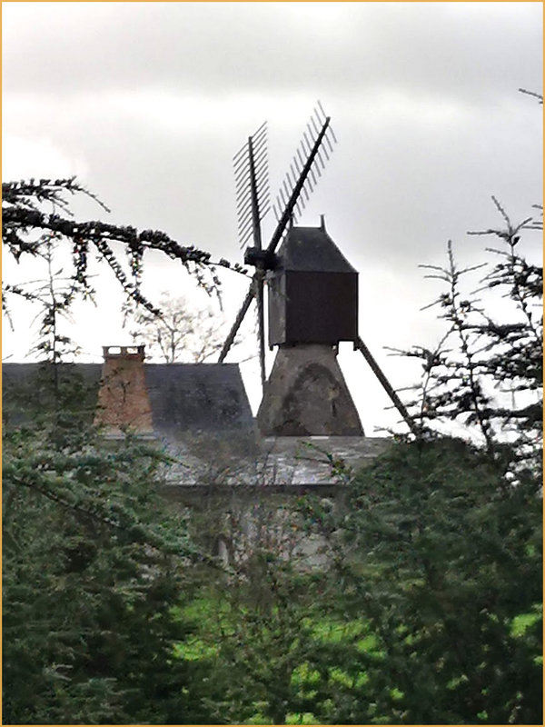 moulin_savenières