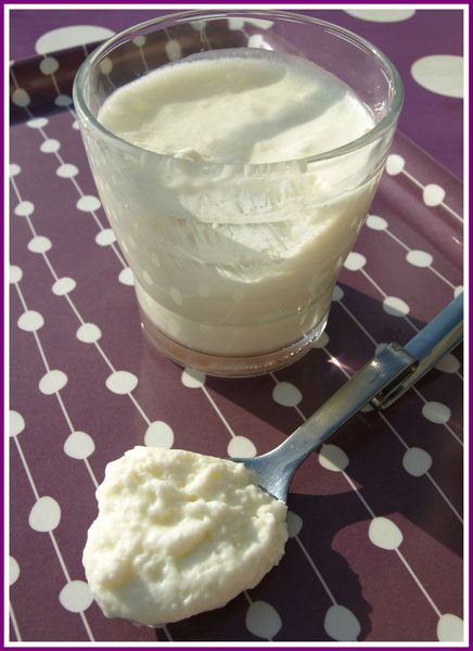 mousse fromage blanc 1