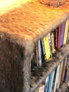 1-furry-faux-fur-bookshelf-by-modern-art-design-768x1024