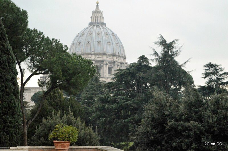 Rome - Musée du Vatican - Basilique Saint-Pierre vue depuis les jardins