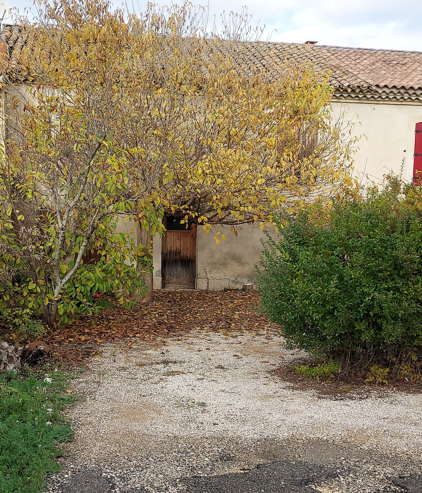 L'IMMOBILIER SUR MONTEUX